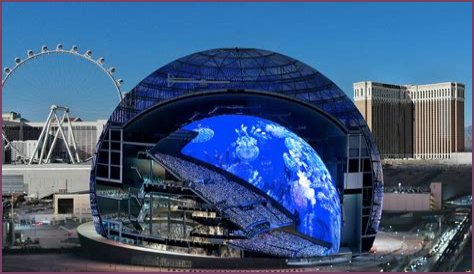 Unveiling Cecilia Vega's Wikipedia: Discoveries And Revelations